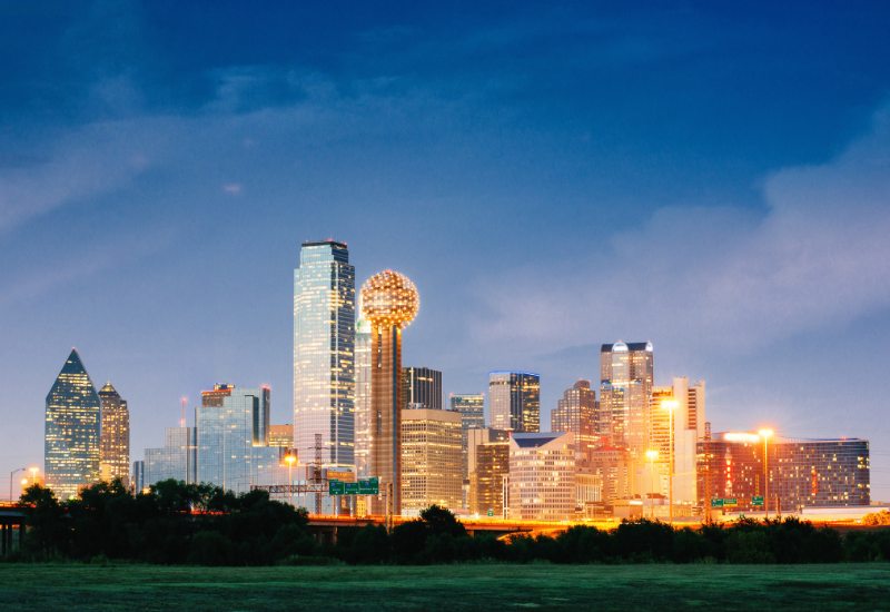 Dallas TX landscape