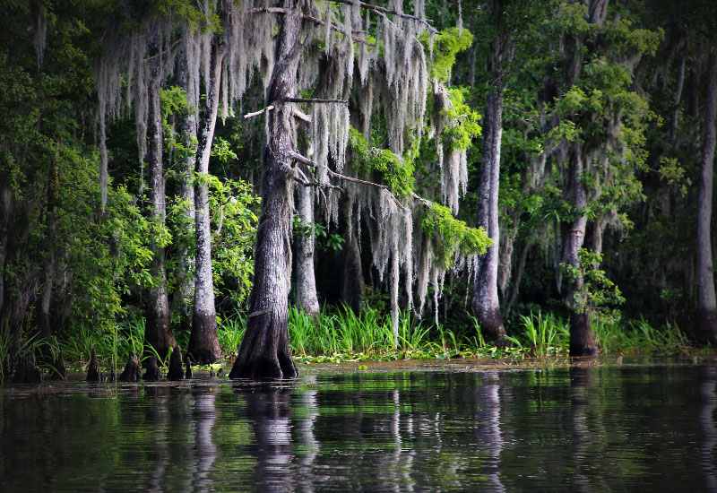 Metairie, Louisiana