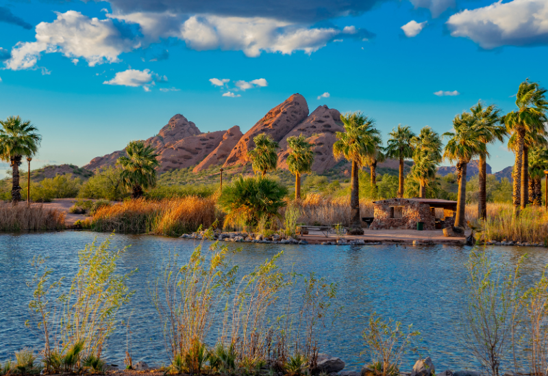 tempe landscape